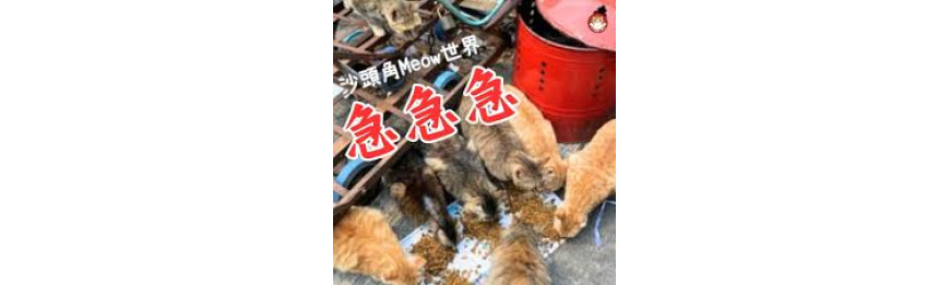 捐贈到捐贈到沙頭角Meow世界(沙頭角)